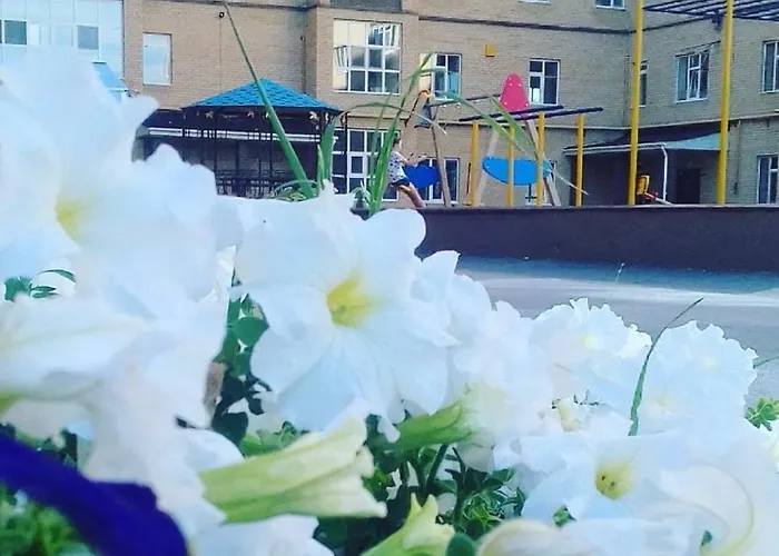 Апартаменты Гостиничного Типа В Центре Города Жк Арман